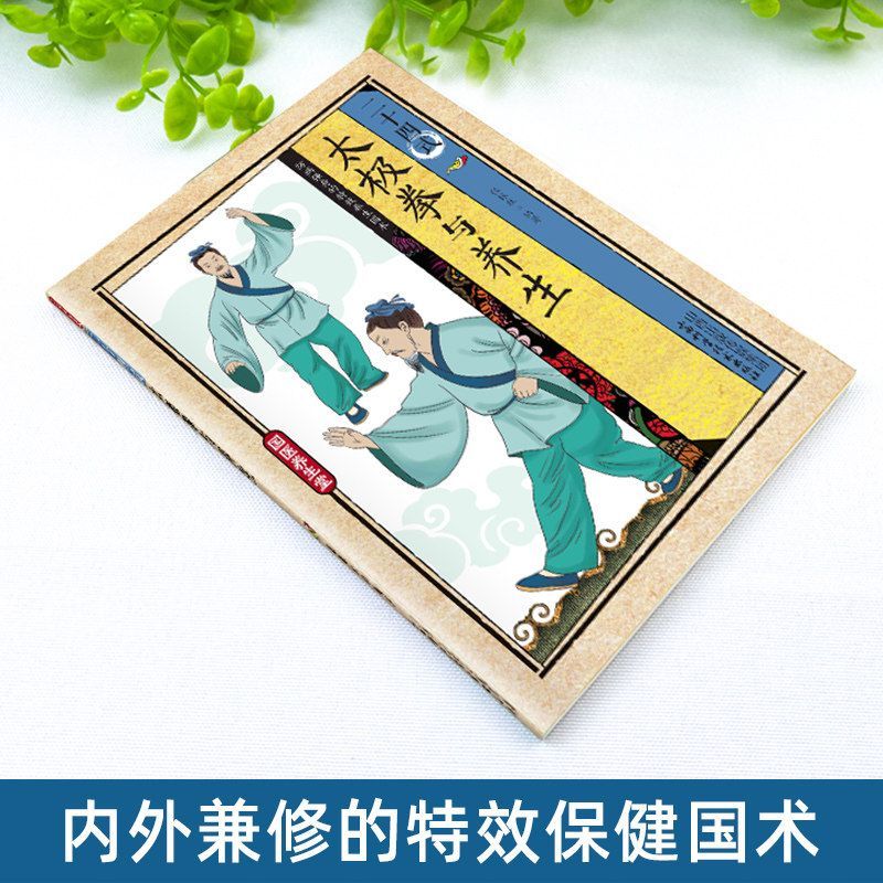 24가지 스타일의 태극권과 건강 운동 일러스트레이션된  - Health & Wellness For You 리뷰 및 가격