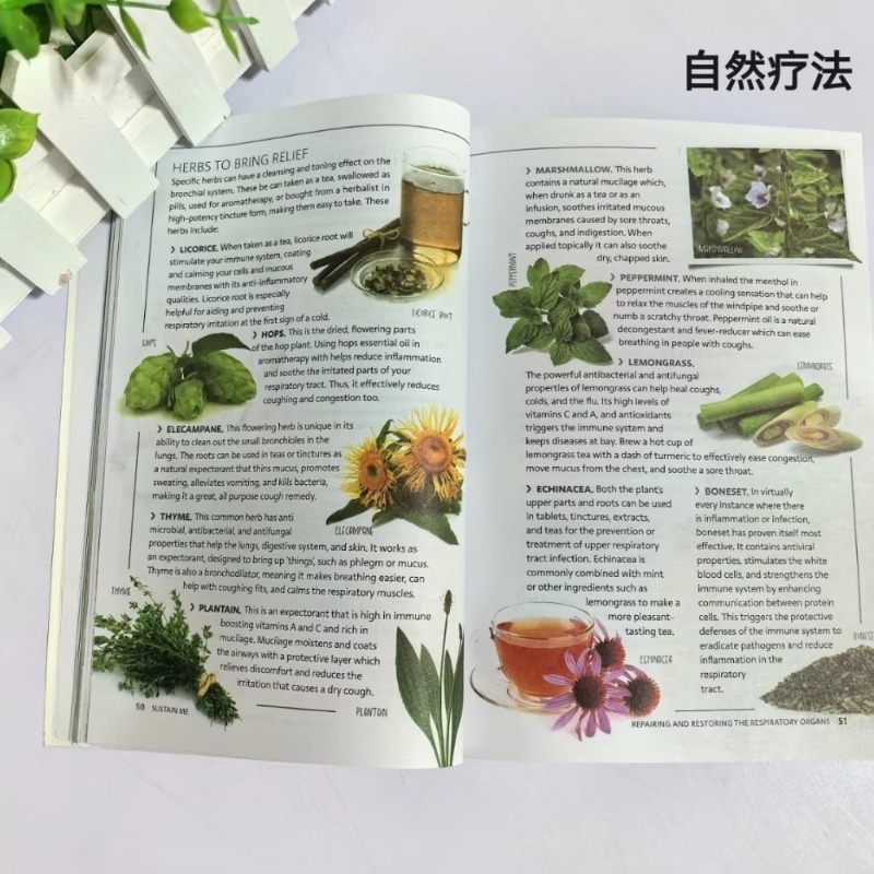 Sustain Me English Paperback B - Health Wellness Foundation 리뷰 및 가격